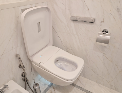 衛(wèi)洗麗 RW是首款裝配曲線型噴嘴的產(chǎn)品